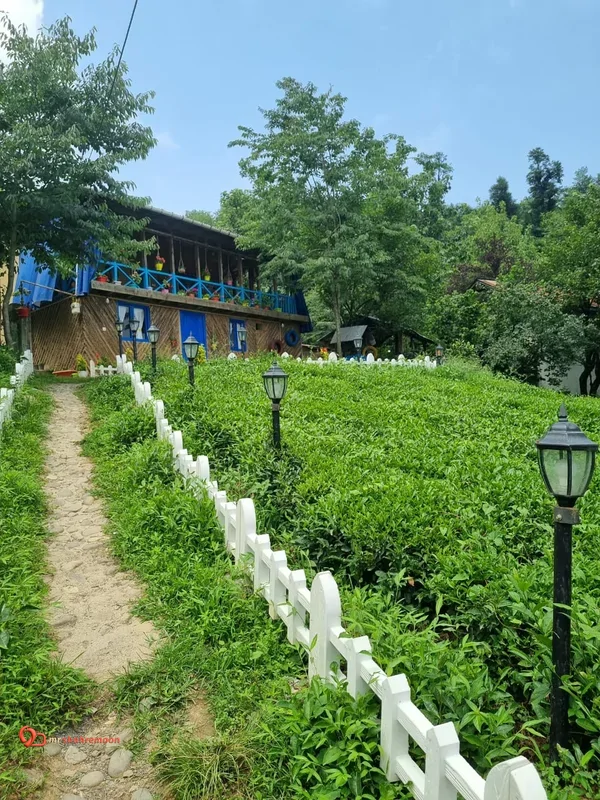 بومگردی شیشاق
