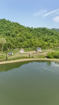 کلبه عمو سلیم واحد 1