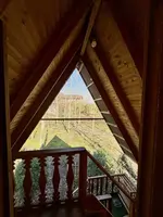 بومگردی باغ ریحان واحد درفک