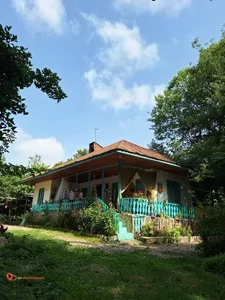 مجموعه بومگردی گل یخ