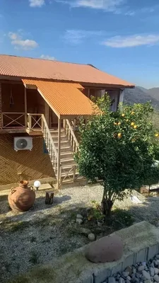 بومگردی آغوزحال واحد فلت