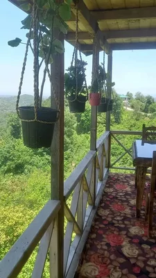 بومگردی آغوزحال واحد فلت