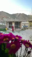بومگردی پنجشیر