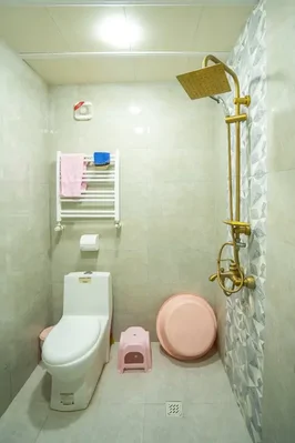 بومگردی بام کارکوه واحد 4