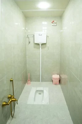 بومگردی بام کارکوه واحد 8