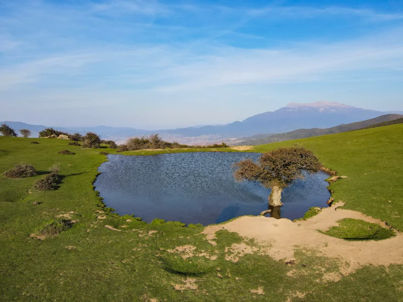 جاذبه