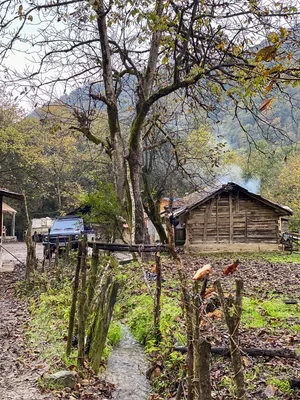 بهترین زمان سفر به لیره سر
