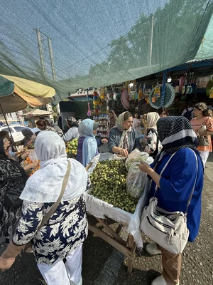 تور رامسر