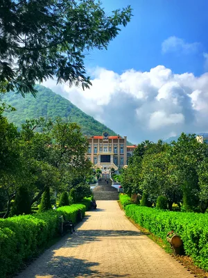 تور رامسر
