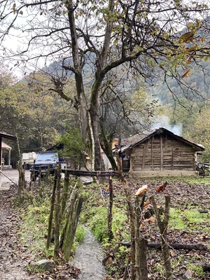 تور نمک آبرود به فلکده