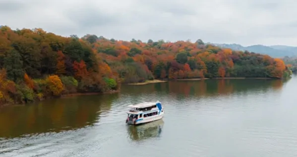 برنجستانک؛ یک روز نارنجی 🍂»