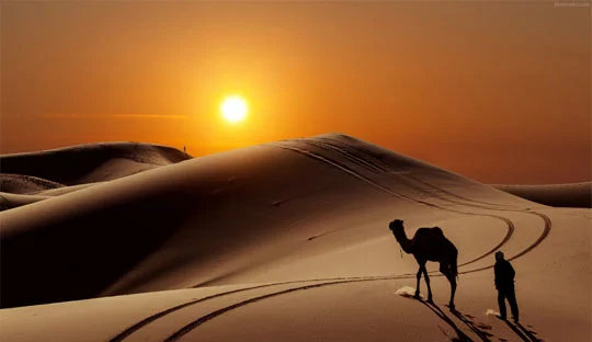 تور کویر ابوزیدآباد پاییزه 1405