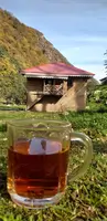 تور گروهی میانلات