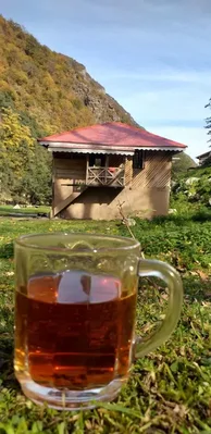 تور گروهی میانلات